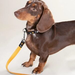 Correa Snoopy Pets D-01