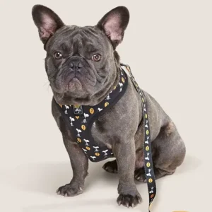 Arnes Snoopy Pets D-05