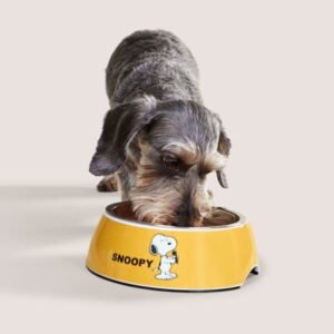 Plato Snoopy Pets D-07