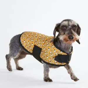 Capa Snoopy Pets D-19